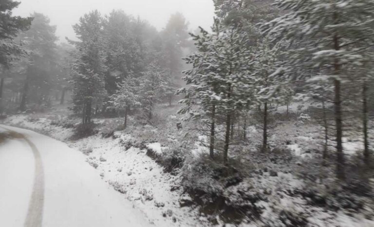 Caen los primeros copos de nieve en la Serranía de Cuenca