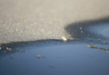 Heladas generalizadas en Castilla-La Mancha, con mínimas de -6 en Cuenca y Guadalajara