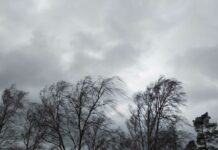 Este invierno ha sido uno de los más cálidos en C-LM de los últimos 65 años