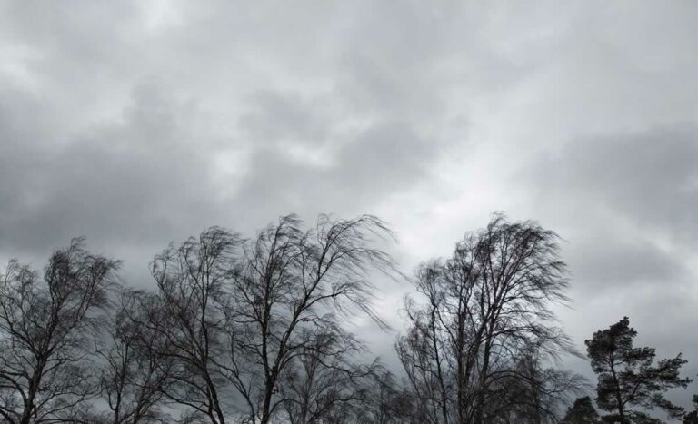 Este invierno ha sido uno de los más cálidos en C-LM de los últimos 65 años
