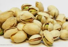 El cultivo del pistacho se dispara un 3.000 % en 10 años