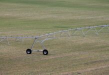 Castilla-La Mancha cifra en 22.000 las hectáreas de cultivos afectadas por la DANA