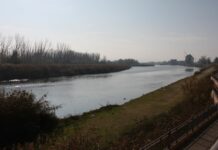 El caudal del Tajo continúa descendiendo a la altura de Talavera y se estabiliza en los 350 metros cúbicos por segundo