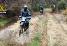 Investigado tras abandonar a un galgo que terminó muriendo de hambre en Alovera