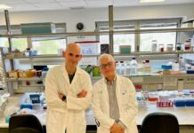 La UCLM participa en un estudio que describe la evolución de los anticuerpos anti-SARS-CoV-2 tras la vacunación