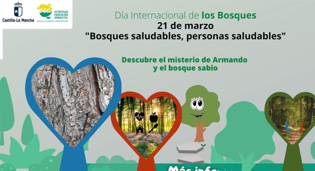 21 de marzo Día Internacional de los Bosques - 1