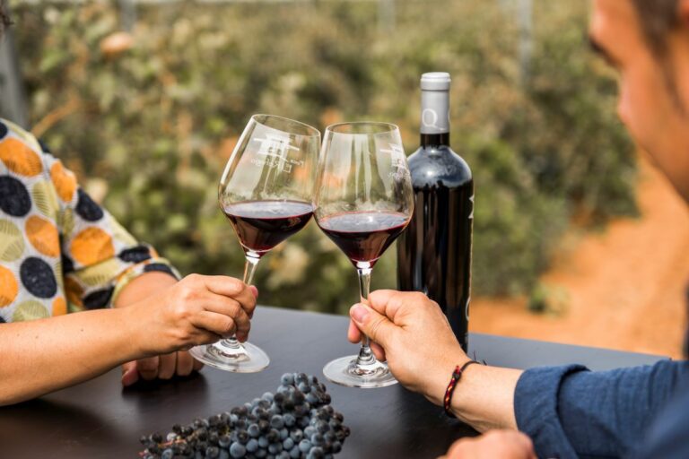 La Ruta del Vino de La Mancha, a otro ritmo