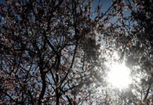 C-LM registra un septiembre muy cálico, con 1,1 grados por encima de lo normal