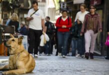 CLM ganó 25.552 personas en 2023 al tener un saldo migratorio positivo