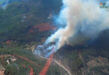 Seis medios y 35 personas trabajan en un incendio declarado en Yeste