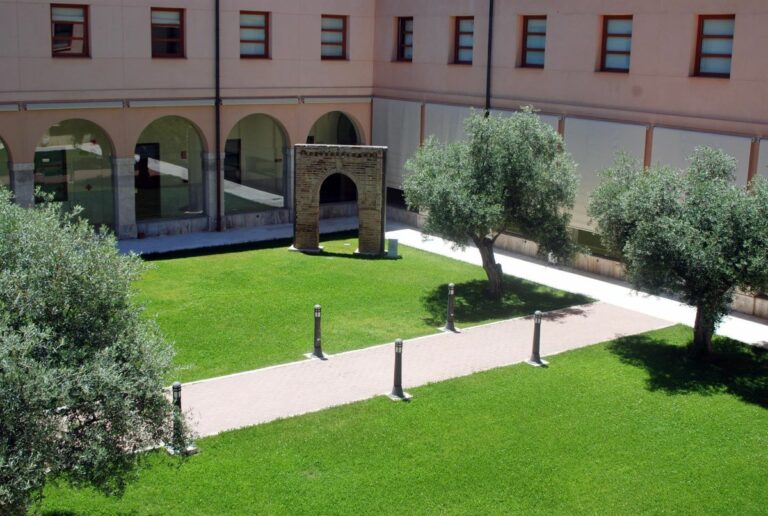 Visto bueno a los grados de Psicología, Matemáticas, Física e Ingeniería Biomédica en la UCLM para el próximo curso Visto bueno a los grados de Psicología, Matemáticas, Física e Ingeniería Biomédica en la UCLM para el próximo curso
