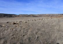 C-LM recibe 26 millones para diferentes programas de Agricultura y Desarrollo Rural por parte del Gobierno central