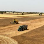Detenidos cuatro vecinos de Almagro tras robar en explotaciones agrícolas del municipio y de Bolaños de Calatrava