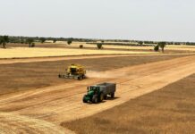 Agricultores y ganaderos alertan de varios robos en sus infraestructuras en la zona de Ciudad Real