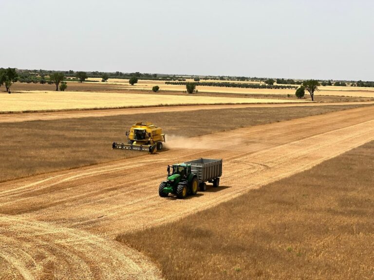 Agricultores y ganaderos alertan de varios robos en sus infraestructuras en la zona de Ciudad Real