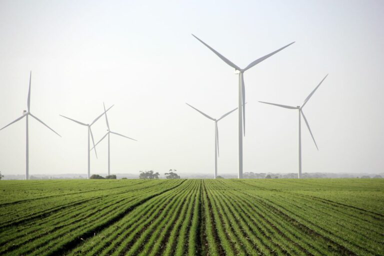 C-LM bate récord de producción de energía renovable y se convierte en la CCAA que más megavatios renovables instala