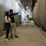 Siete razones para visitar Tomelloso este verano