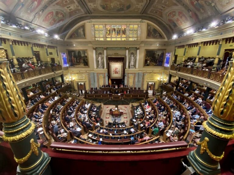 Diputados del PSOE C-LM afrontan la investidura de Sánchez defendiendo que en el Congreso se escenificará la democracia