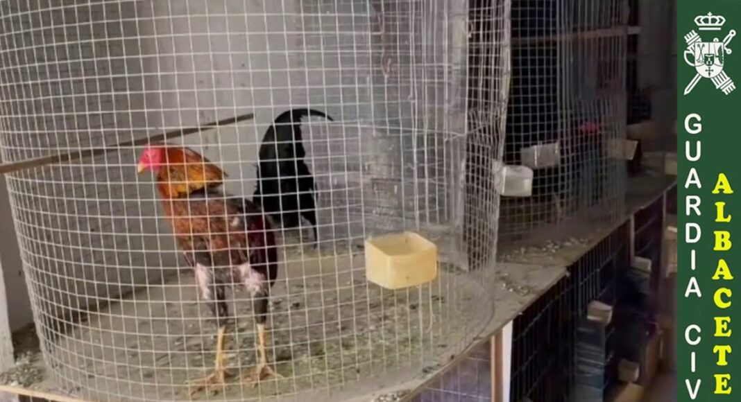 Operación en La Roda