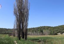Riesgo extremo de incendio en 42 municipios de Castilla-La Mancha