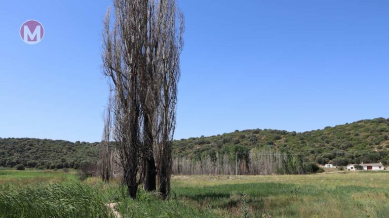 Riesgo extremo de incendio en 42 municipios de Castilla-La Mancha