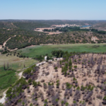 Un año después del devastador incendio de Ruidera, la zona se está recuperando poco a poco