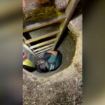 Agentes de la Guardia Civil rescatan a un perro que había caído a un pozo en Tarancón