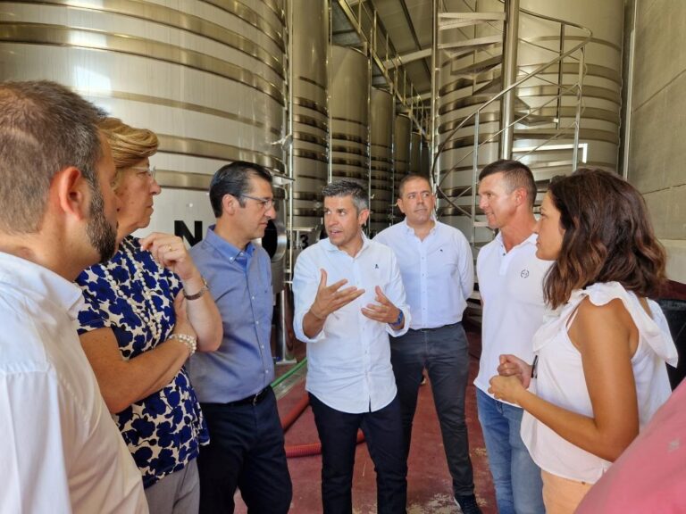 Castilla-La Mancha líder nacional en exportaciones de vino
