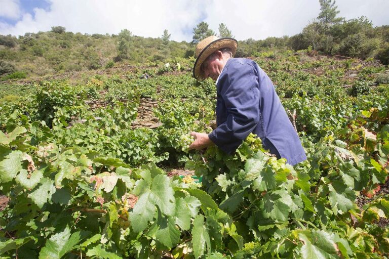 Ecologistas en Acción C-LM apoya las protestas agrarias contra el acuerdo UE-Mercosur