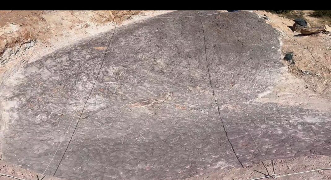 Huellas fósiles en Tamajón