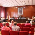 Vox no se constituye como grupo municipal en Manzanares