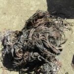 La Guardia Civil detiene en Socuéllamos a dos vecinos por robo de cobre