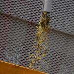 La vendimia bate récord de precocidad en Manzanares: empezó el 3 de agosto