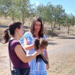 El Centro de Recuperación ‘El Chaparrillo’ de Ciudad Real ha recibido más de 700 ejemplares en lo que va año