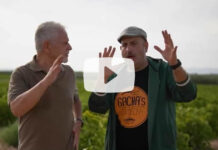 “La Espuerta Entera”, la nueva canción de Agustín Durán que combina humor, vendimia y el éxito ‘Nochentera’