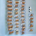 Una excavación en Ruidera localiza mil fósiles, algunos con más de 300.000 años de antigüedad