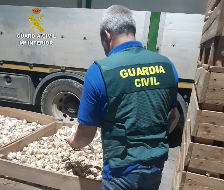 Investigados en la Mancha conquense tras apropiarse de simiente de ajo valorada en más de 100.000 euros