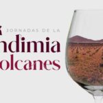 ‘Vendimia entre Volcanes’: tapas, comidas y cenas con los vinos de origen volcánico de Ciudad Real