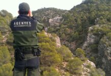 CSIF, STAS, CCOO y UGT se manifiestan este martes en Toledo en defensa de los Agentes Medioambientales