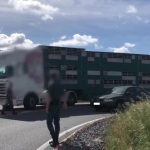 Investigadas 17 personas por falsear certificados de desinfección de vehículos para transporte de animales