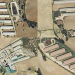 TSJCM anula la autorización de la Junta a una macrogranja de cerdos en Huerta de la Obispalía