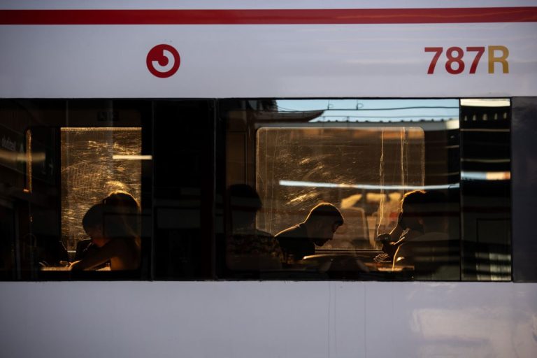Retrasos en la línea de Cercanías entre Guadalajara y Madrid tras la caída de un árbol