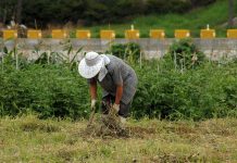 FADEMUR y el Instituto de la Mujer unen metas para lograr la igualdad en zonas rurales