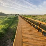 Denuncian los descensos en masas de agua de Mancha Occidental II, afectando a las Tablas de Daimiel