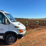 Cadisla trabaja en la revegetación del entorno de una planta fotovoltaica en Manzanares
