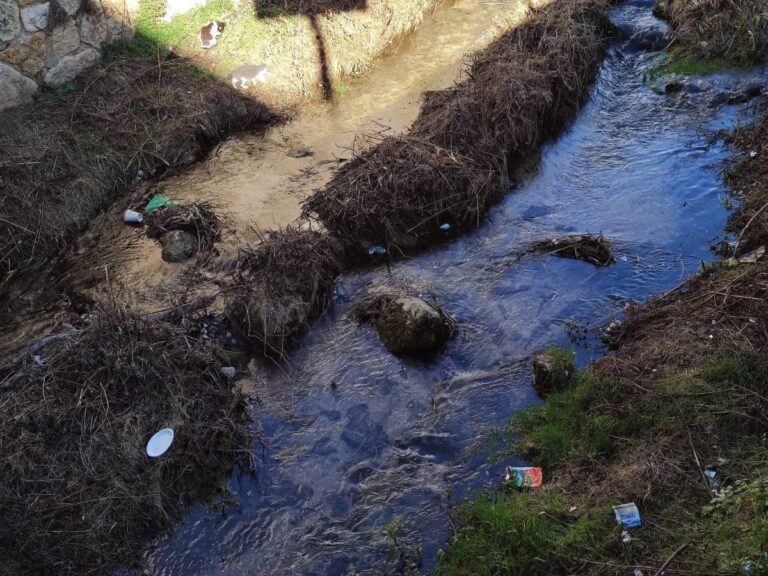Cuenca en Marcha pide limpiar el río Huécar ante su «lamentable imagen»
