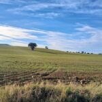 La plataforma ‘Sí a la Tierra Viva’ alerta del plan de Quantum para explorar casi 9.000 hectáreas en Ciudad Real