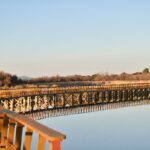 Técnicos del Gobierno y de C-LM se reúnen por primera vez para buscar medidas para las Tablas de Daimiel