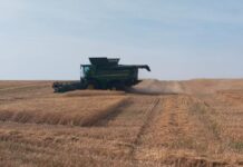 ASAJA CLM destaca la labor de los agricultores durante la campaña de cosecha de cereales