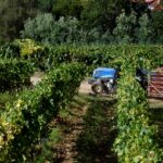 Mancha Occidental II lamenta que no se sepa nada de reactivar el Plan Especial del Alto Guadiana «20 meses después»